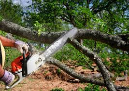 Best Utility Line Clearance  in Tornado, WV